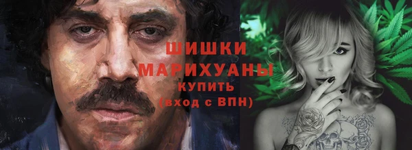 амф Арсеньев